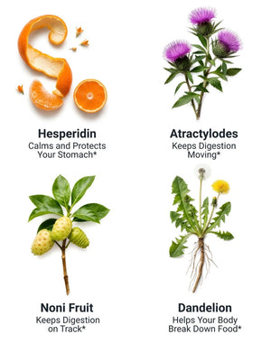 Re:flux Acid Reflux Relief